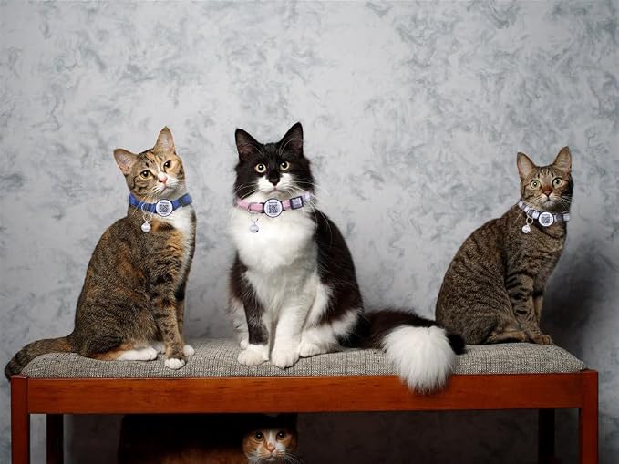 3pack Cat Collar Breakaway with QR Code Name Tag,Pet ID Tag,Collar with Bells,Online Profile-Scan QR Receive Instant Pet Location Alert Email (Pink & Black & Orange)