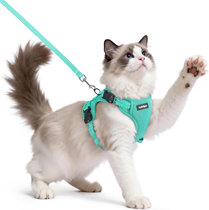 rabbitgoo Cat Harness and Leash, Easy-on with Neck Buckle, Green