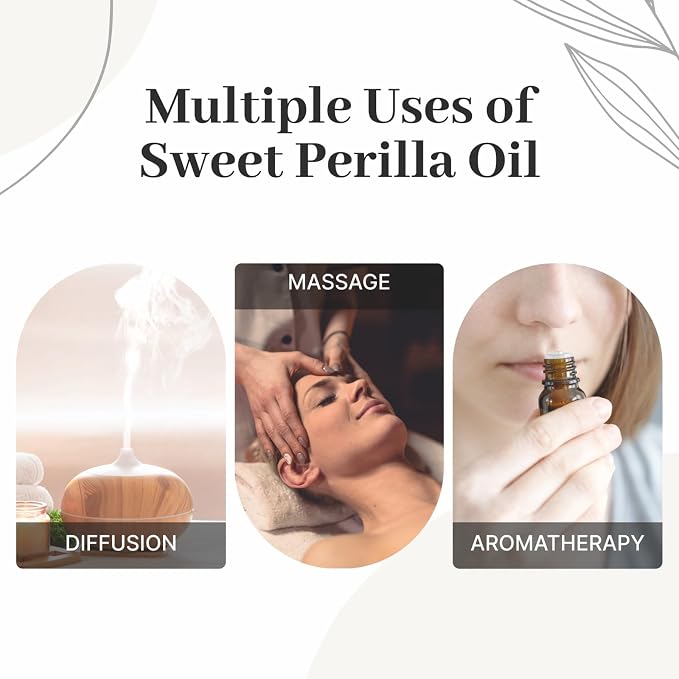 Sweet Perilla Essential Oil – 100% Pure & Natural Essential Oils | Lab Tested Uncut Aromatherapy Oils for Relaxation, Skin & DIY Spa | Premium Perilla Seed Oil 10ml