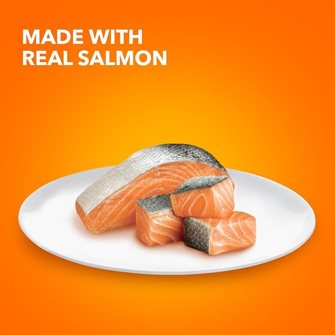 IAMS Perfect Portions Healthy Adult Pate Wet Cat Food, Salmon, 24 Count | Grain-free, 2.6 oz. twin-pack trays, Omega 6 & 3 for skin & coat, prebiotics & beet pulp, snap-peel-serve, no messy leftovers