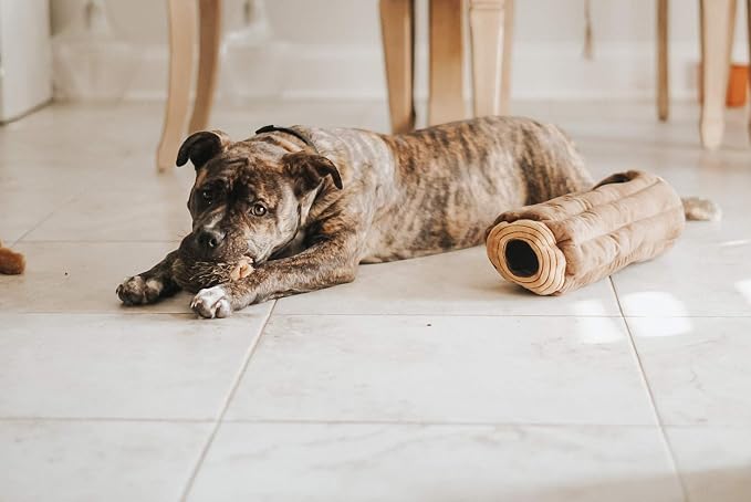 ZippyPaws Burrow Interactive Dog & Puppy Toys for Boredom - Chipmunk Log