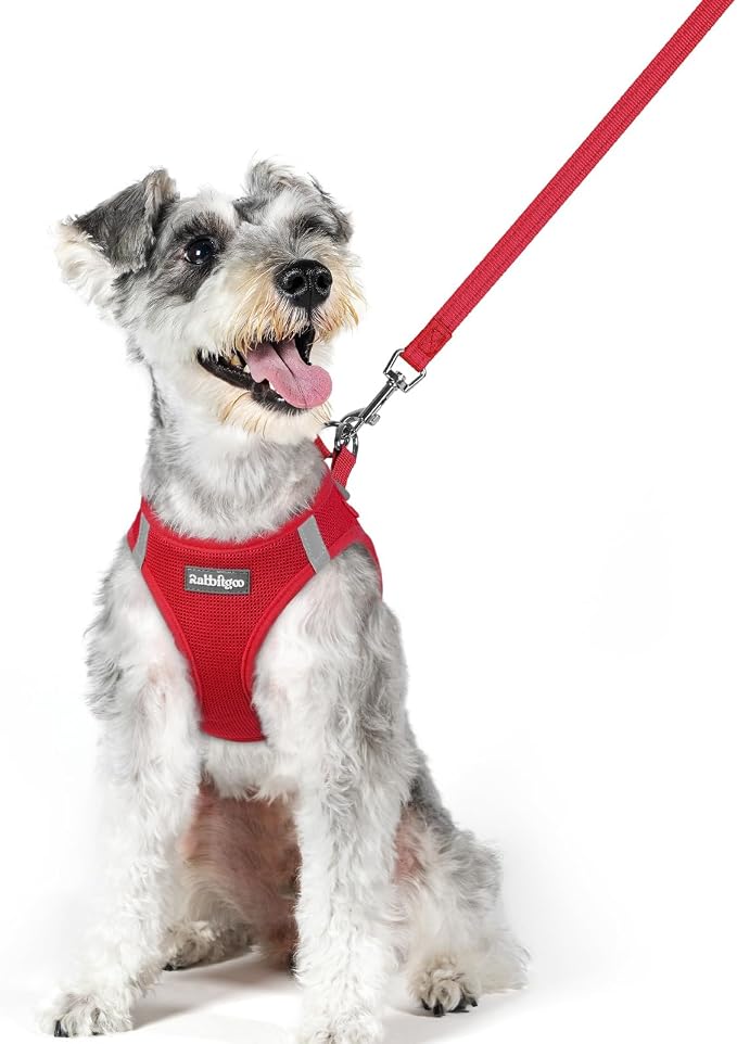 rabbitgoo Dog Harness Medium Sized and Leash Set, Step-in Puppy Pet Vest | Light, Soft, Breathable Air Mesh, Easy on and Remove with Hook & Loop, Secure Reflective for Walking, Red XL