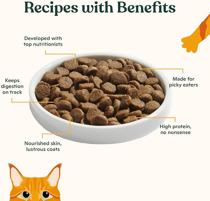 Made by Nacho Dry Cat Kibble 11lb Bag, High Protein and Grain-Friendly Premium Cat Food, Sustainably Caught Salmon and Pumpkin, Infused with Bone Broth for Hydration, Limited Ingredients, Single Bag | Protein-forward dry cat food with premium ingredien...