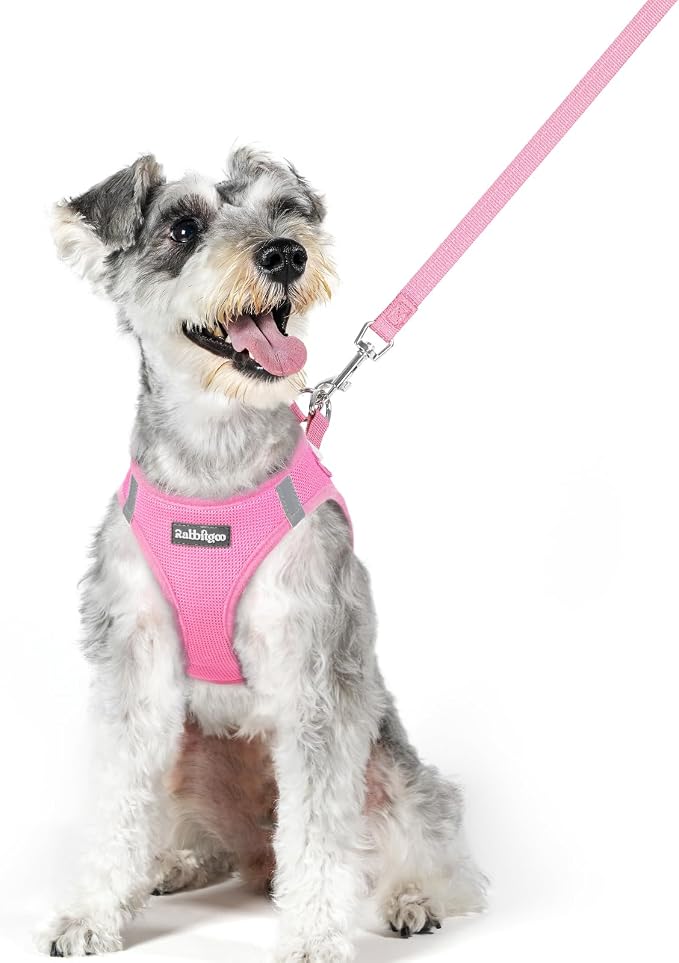 rabbitgoo Dog Harness Medium Sized and Leash Set, Step-in Puppy Pet Vest | Light, Soft, Breathable Air Mesh, Easy on and Remove with Hook & Loop, Secure Reflective for Walking, Light Pink XL