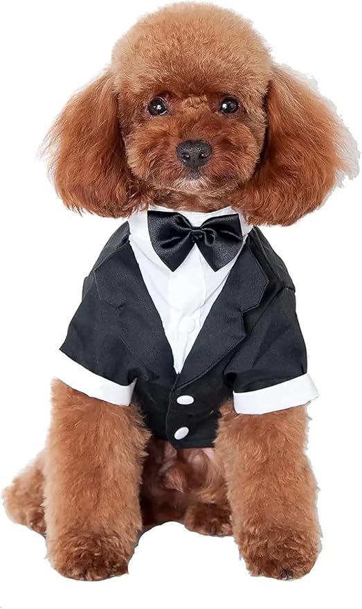 GabeFish Pets Wedding Jackets Suit for Dogs with Bow Tie Puppy Cat Formal Clothes Shirt Tuxedo (Black, L (Chest 17.3in/44cm)