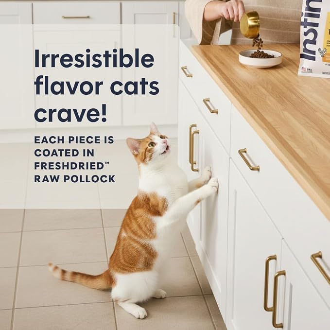 Instinct Original Dry Cat Food, Raw Coated Kibble, Real Salmon, 10 lb. Bag | Raw-coated kibble with wild-caught salmon for strong muscles, digestive health, and healthy skin & coat, grain-free