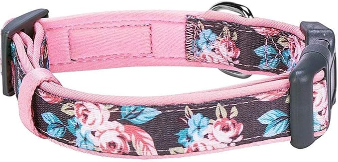 Blueberry Pet Floral Prints Neoprene Padded Dog Collar, Pink Rose, Adjustable Dog Collar for Large Dogs, Size Large, Neck 18-26”