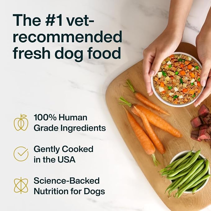 JustFoodForDogs Pantry Fresh Wet Dog Food, Complete Meal or Dog Food Topper, Beef & Potato Human Grade Dog Food Recipe - 12.5 oz (Pack of 12) | Fresh Pet Meal or Fresh Dog Food Topper, Human Grade Recipe Made With Whole Foods, Preservative-Free, 12.5 O...