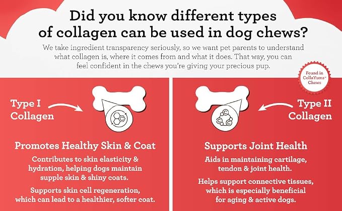 DreamBone CollaYUMS Knots Plus Collagen Chews for Dogs, 8 Count, Treat Your Dog to Rawhide-Free Chews Made with Chicken, Vegetables and Peanut Butter (Pack of 2)