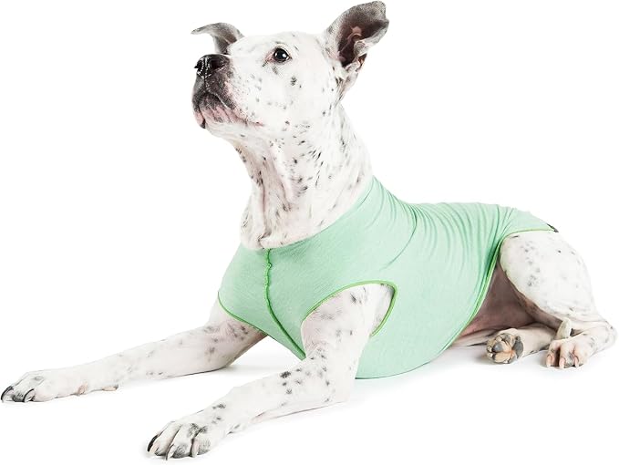 Sun Shield Dog Tee – T-Shirt for Canines – UV Protection, Pet Anxiety Relief, Wound Care – Protects Against Foxtails, Aids Alopecia - Machine Washable, All Season – Size 4 – Pistachio