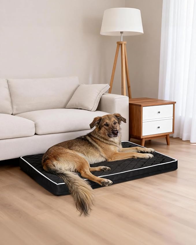 NUPIDA Orthopedic XL Dog Crate Beds Large Sized with Washable Cover, 41x27 | Egg-Crate Foam, Cozy Velvet Pet Mattress, TPU Waterproof Layer, Comfy Support, Anti-Slip Base, Big Large Breeds up to 80lbs