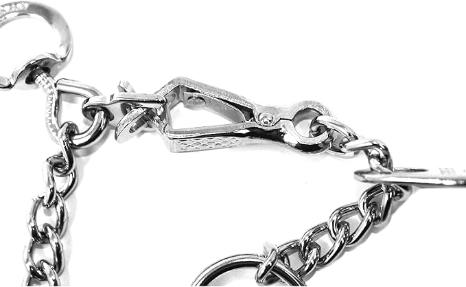Herm Sprenger Chrome Plated Steel Training Prong Collar with Quick Release Snap for Dogs, 23in (58cm) x 3.2mm, (Neck Size UP to 19 inches)