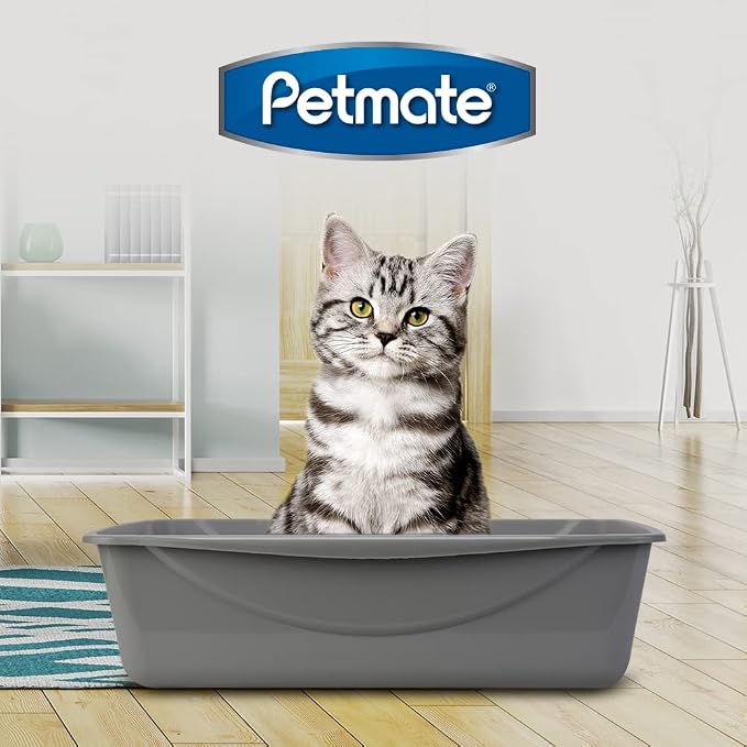 Petmate Open Cat Litter Box; Large Nonstick Litter Pan Durable Standard Box, Grey Great for Small & Large Cats Easy to Clean; Made in USA | Easy to clean standard tray for small and big felines, smooth surface releases clumps, simple everyday scooping ...
