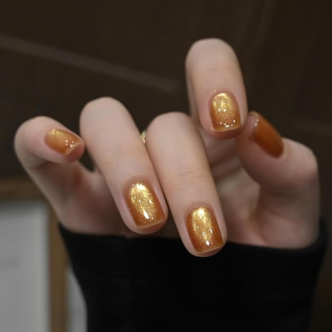 GAOY Jelly Golden Cat Eye Gel Nail Polish, 16ml Glitter Holographic Nail Polish with Magnet, Reflective Translucent UV Gel, 2955 Gilded Shine