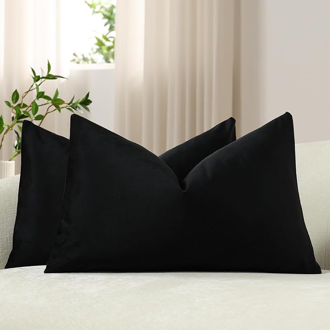 Lumbar Pillow Covers 12x20 Black: Pack of 2 Cozy Soft Velvet Rectangular Modern Luxury Decorative Throw Pillow Cases for Sofa Couch Living Room Bed Home Decor