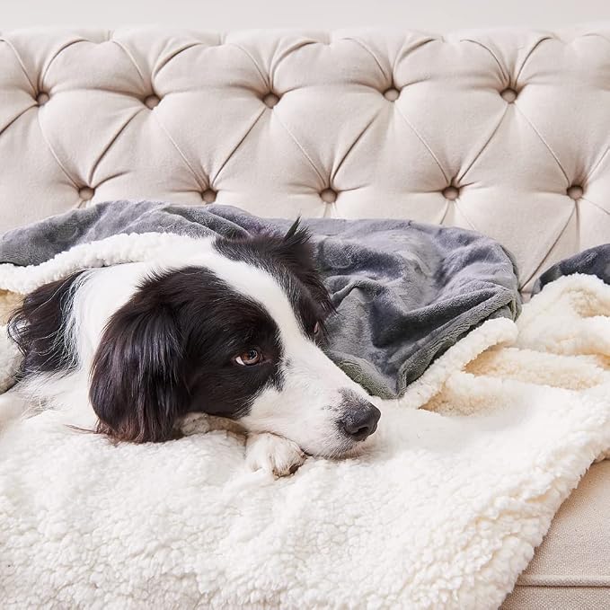 Waterproof Blanket for Bed, Dog Blankets for Large Dogs, Waterproof Cat Blanket Washable, Soft Sherpa Fleece Puppy Blanket, Reversible Throw Protector for Couch Car, 50"X60", Dark Grey