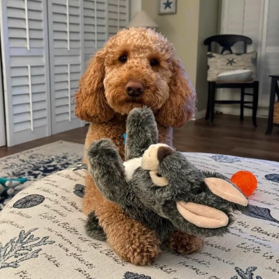 Fluff & Tuff Walter Wabbit Plush Dog Toy - 12"