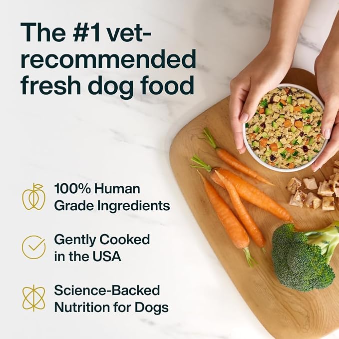 JustFoodForDogs Pantry Fresh Wet Dog Food Complete Meal or Dog Food Topper, Turkey & Whole Wheat Macaroni Human Grade Dog Food Recipe - 12.5 oz (Pack of 12) | Fresh Pet Meal or Fresh Dog Food Topper, Human Grade Recipe Made With Whole Foods, Preservati...