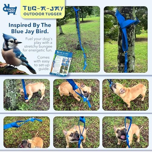 Race&Herd Tug-A-Jay Tether Tug Outdoor Dog Toy — Bungee Tug Rope