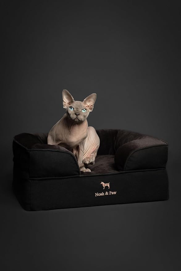 NOAH & PAW Small Dog Bed, 20x15x8 Inch, Cat Bed for Indoor Cats, Orthopedic Eggshell Memory Foam Infused with Cooling Gel, Water Resistant Inner Cover Machine Washable (Denim Collection)