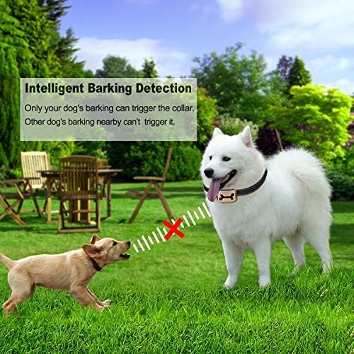 Bark Collar 2 Pack Upgraded 7 Sensitivity Rechargeable Dog Barking Collar Beep/Shake/Safe Shock Or No/Anti Bark Reflective Collar for Small Medium Large Dogs …