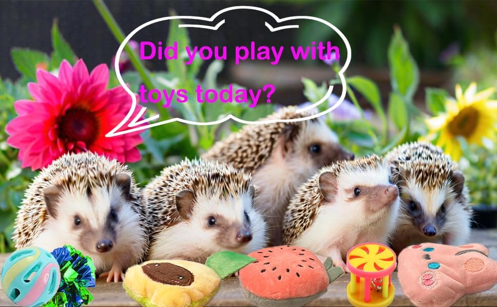 10 pcs Cute Hedgehog Enrichment Toys Hedgehog Supplies Cage Accessories Small Animal Ball Bell Pet Interactive Exercise Ball Entertainment