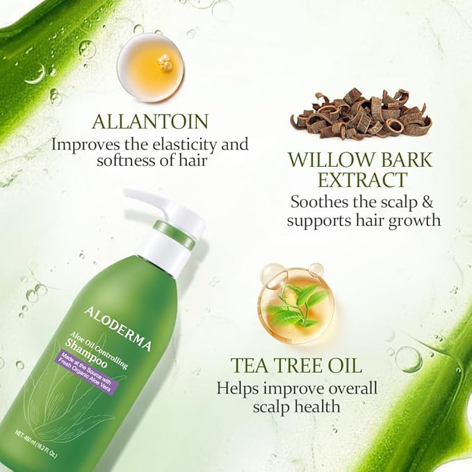 Aloderma Aloe Oil Control Shampoo 16oz - Made within 12 Hours of Harvest Fresh, Organic Aloe Vera (No Water Added), Tea Tree Oil, and Willow Bark Extract to Gently Cleanse Without Stripping or Drying