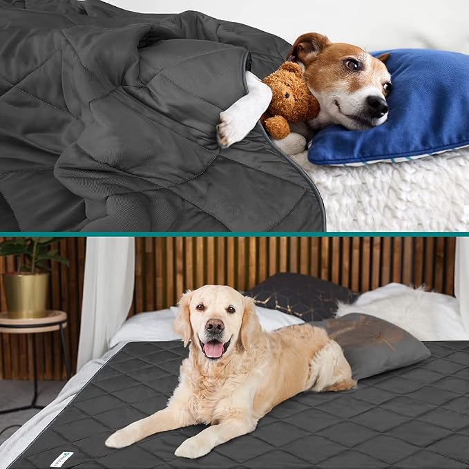 PetAmi Premium Cooling Dog Blanket | Lightweight Fluffy Pet Throw Blanket Bed Cover for Dogs, Cat, Puppies | Pet Blanket Furniture Protector Couch Sofa | Reversible Fuzzy Cozy | 24x32, Grey