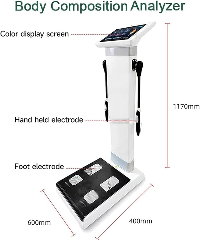Body Composition Analyzer with Printer 10.1" Touchscreen, Body Composition Analyzer, Smart Body Analyzer Scale, in Body Scale with Body Fat Analysis (117 * 60 * 40cm)