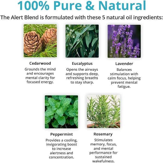 Wild Essentials Alert Essential Oil Blend 4-Piece Bundle –Energy, Focus & Mental Clarity with Roll-On, Spray, Nasal Inhaler & Pure Oil Diffuser Set– USA Made
