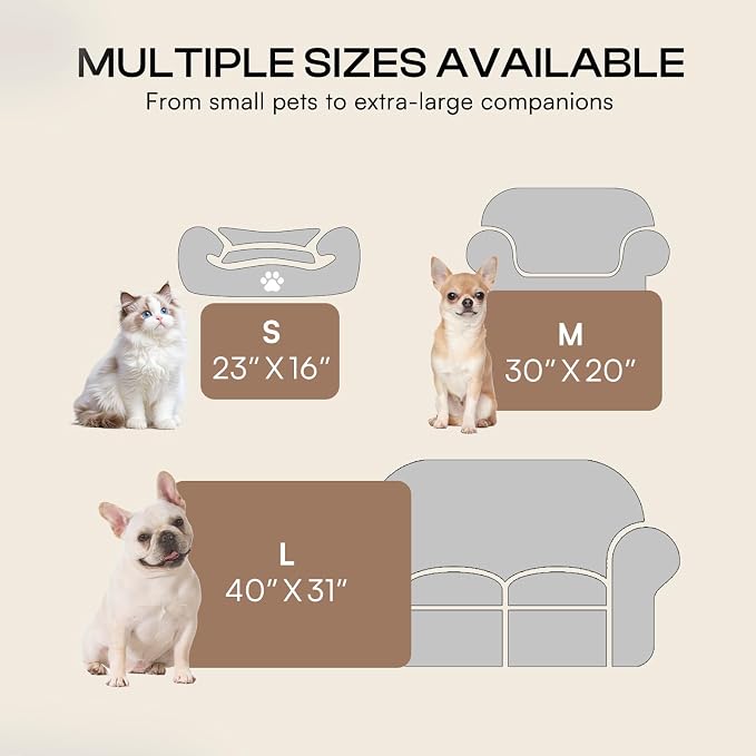 Luciphia Dog Blanket 3 Pack, Soft Cozy Fleece Throw for Puppy Cat,30"x20" | Fuzzy Flannel Small Pet Blanket Washable, Cute Paw Print for Crate Car Bed. Puppy Essential,Cat Stuff Gifts,Medium