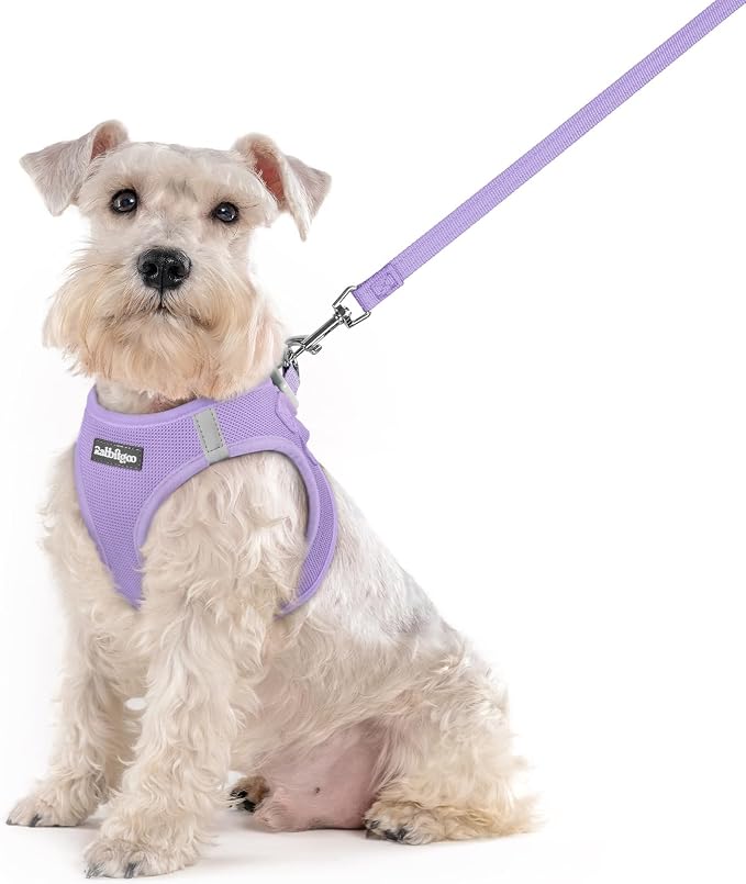 rabbitgoo Dog Harness Medium Sized and Leash Set, Step-in Puppy Pet Vest | Light, Soft, Breathable Air Mesh, Easy on and Remove with Hook & Loop, Secure Reflective for Walking, Light Purple XXL
