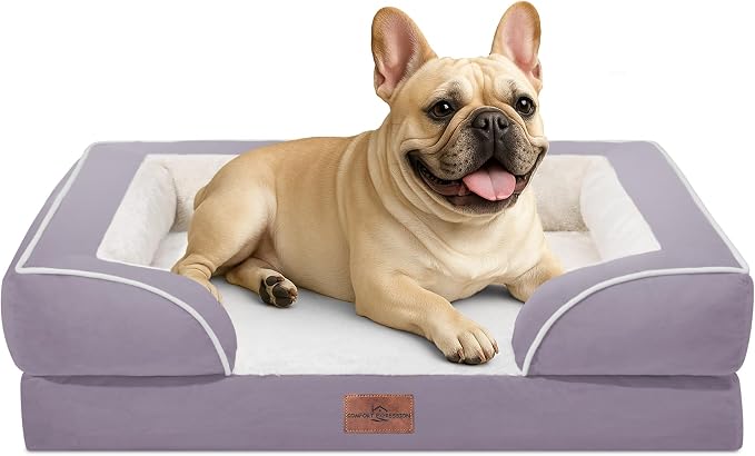Comfort Expression Waterproof Orthopedic Dog Bed for Medium Size Dog | Supportive Egg Crate Foam Medium Pet Bed with Removable Bolsters, Dog Couch with Washable Cover & Non-Slip Bottom, 30x20 Inch