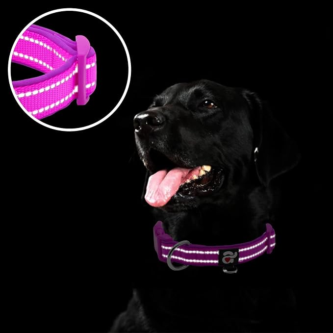 azuza Reflective Dog Collar, Neoprene Padded Small Dog Collar, Purple, S