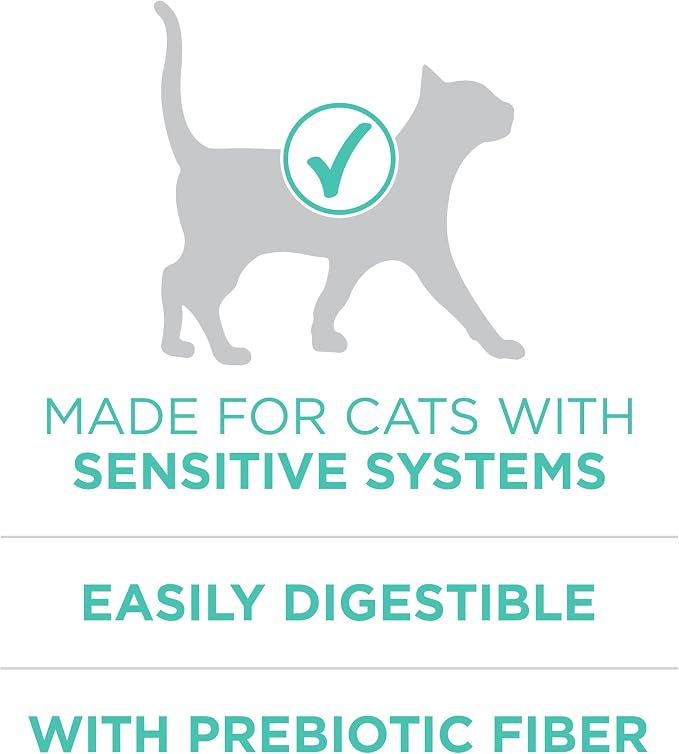 Purina ONE Sensitive Skin and Stomach Dry Cat Food 22 lb Bag