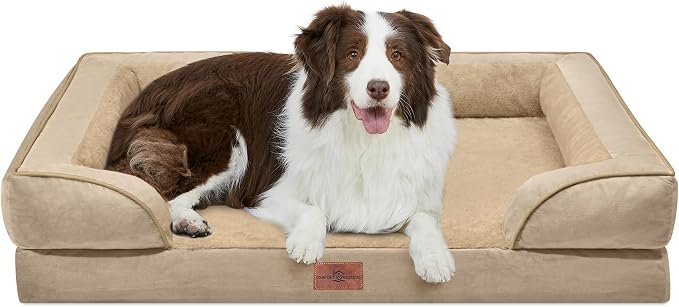 Comfort Expression Waterproof Orthopedic Dog Beds for Large Sized Dog | Supportive Egg Crate Foam Large Pet Bed with Removable Bolster, Dog Couch with Washable Cover & Non-Slip Bottom, 36x27 Inch