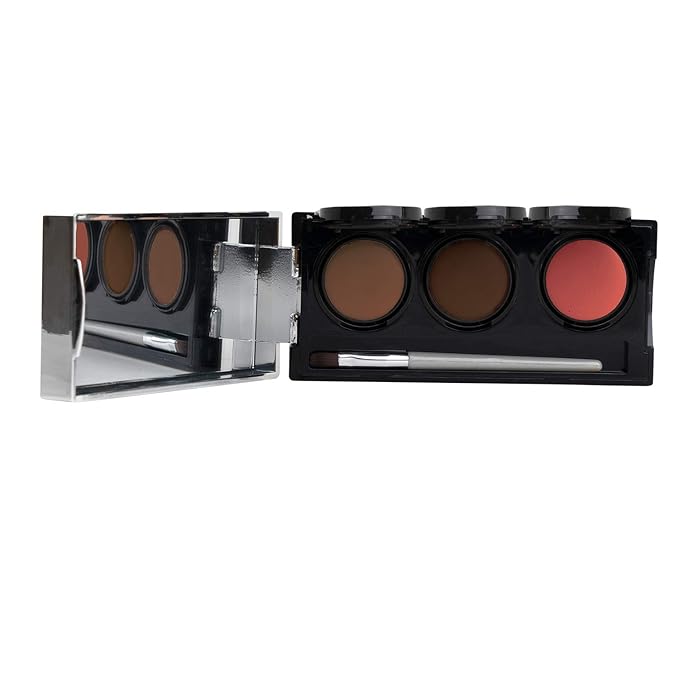 Dermaflage Tattoo Cover Up Makeup (Dark) - Bruise Full Coverage Concealer - Full Coverage Waterproof Concealer for Bruise, Scars & Acne - Smudge Proof Body Makeup Palette with 3 Pro SFX Shades + Brush