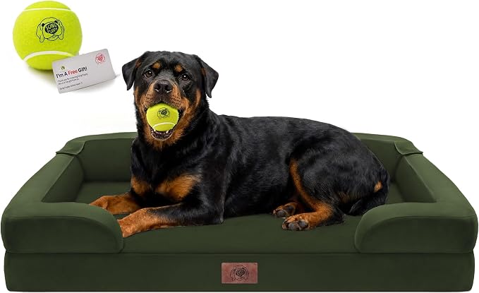 Waterproof Orthopedic Dog Bed for Extra Large Sized Dogs | Memory Foam Pet Bed Sofa with Bolster, Dog Couch with Washable Cover & Non-Slip Bottom, 45x35 Inch, Oliva Green