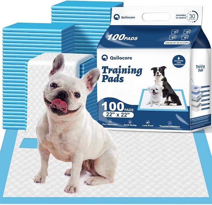 100 Count 22” x 22” Disposable Dog Pee Pads | Super Absorbent Leakproof Puppy Pads Quick Drying, Pee Pads for Dogs, Potty Dog Training Pads