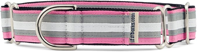 If It Barks 1" Martingale Collar for Dogs, Adjustable Nylon, USA Made, Small, Spunky