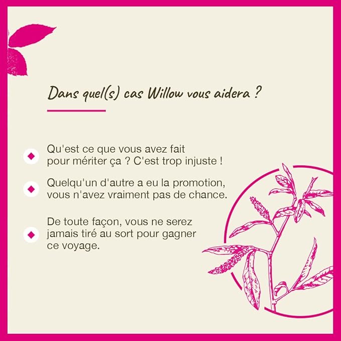 Bach Original Flower Remedies, Willow - Forgive & Forget - Natural Homeopathic Flower Essence for Emotional Balance - Vegan, Gluten Free, Sugar Free - 20mL Dropper