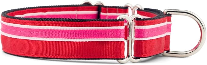 If It Barks 1" Martingale Collar Handmade OC Stripe, Medium, Shortcake