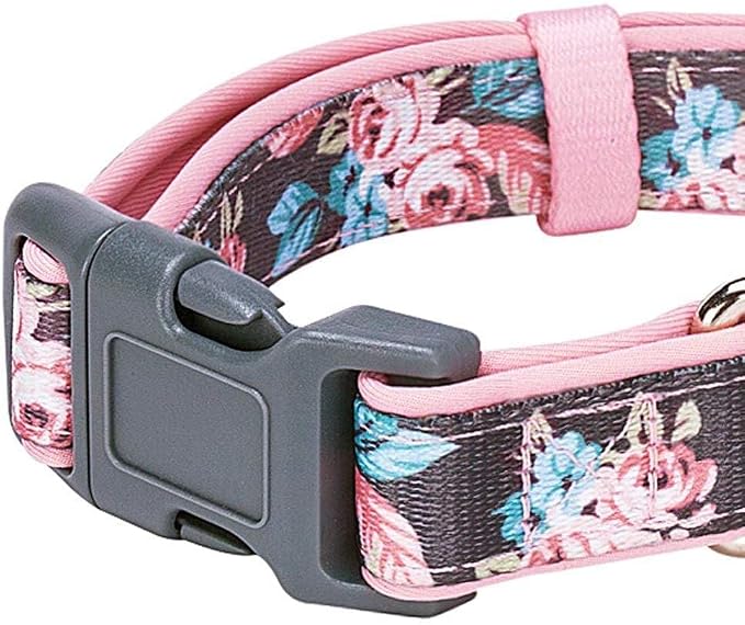 Blueberry Pet Floral Prints Neoprene Padded Dog Collar, Pink Rose, Adjustable Dog Collar for Large Dogs, Size Large, Neck 18-26”