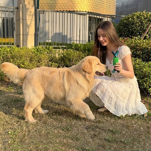 Dog Toys for Aggressive Chewers, Tough Stick Chew Bone