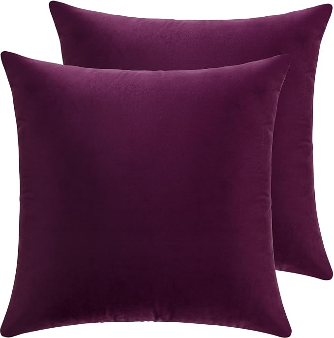 Velvet Decorative Throw Pillow Covers, Soft Square Cushion Case Home Decor for Living Room Couch Bed Sofa, Set of 2 Pack, Eggplant Purple, 16x16 Inch