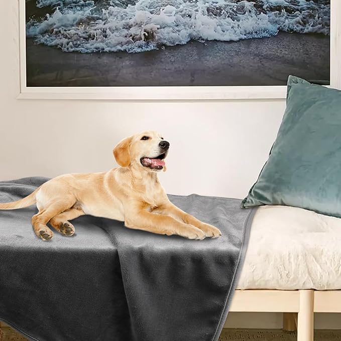 Onarway Dog Blanket Washable for Puppy: 4 Packs Dog Blankets 40”x28” | Fluffy Soft Small Throw for Cat Puppy Kitten Dogs - Fleece Pet Blankets for Bed Sofa Car and Indoor - Grey and Khaki