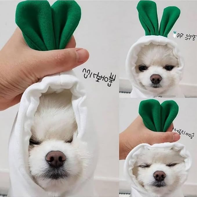 Dog Hoodie Warm Autumn Winter Pet Sweatshirt White Radish Hoodie, M | Cute Pet Clothing Coat Costume For 2-25 Lbs Medium Dog Cat French Bulldog Chihuahua Pug Boston Terrier Poodle Dachshund
