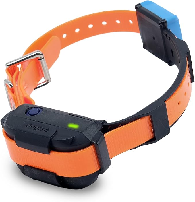 Dogtra Smart Fence Additional Receiver Only (Orange) - Expand to 2 Dogs, Requires Control Station, Wireless Electric Dog Fence System, No Subscription, 2-Tier Alarm, Tone/Vibration/Static, 35 lbs+
