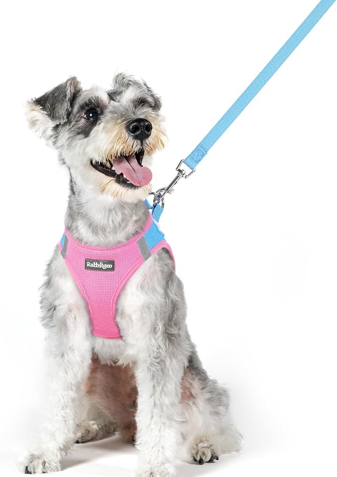 rabbitgoo Dog Harness Medium Sized and Leash Set, Step-in Puppy Pet Vest | Light, Soft, Breathable Air Mesh, Easy on and Remove with Hook & Loop, Secure Reflective for Walking, Blue & Light Pink XL