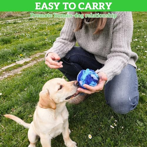4 Packs Snuffle Ball for Dogs, Sniffle Interactive Treat Ball, Stress Relief, Slow Feeder, Puzzle Toy for Small Medium Dogs Cats, Soft Polar Fleece, Rainbow, Orange, Pink Blue & Ocean Blue, 3.9 Inches